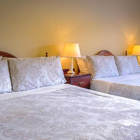 Bed & Breakfast Fallon's 4*