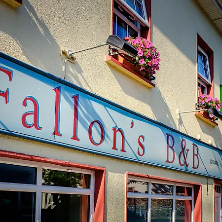 Fallon's Frühstückspension Kinvara