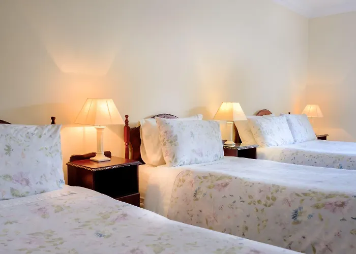 Couette-café Fallon's 4*